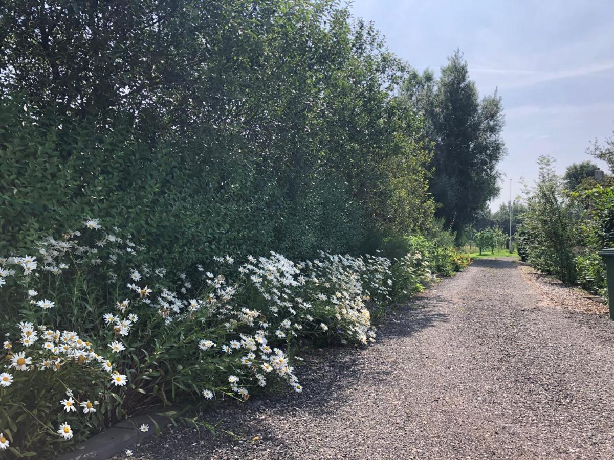 Butenom Oudwoude Eksteriør bilde